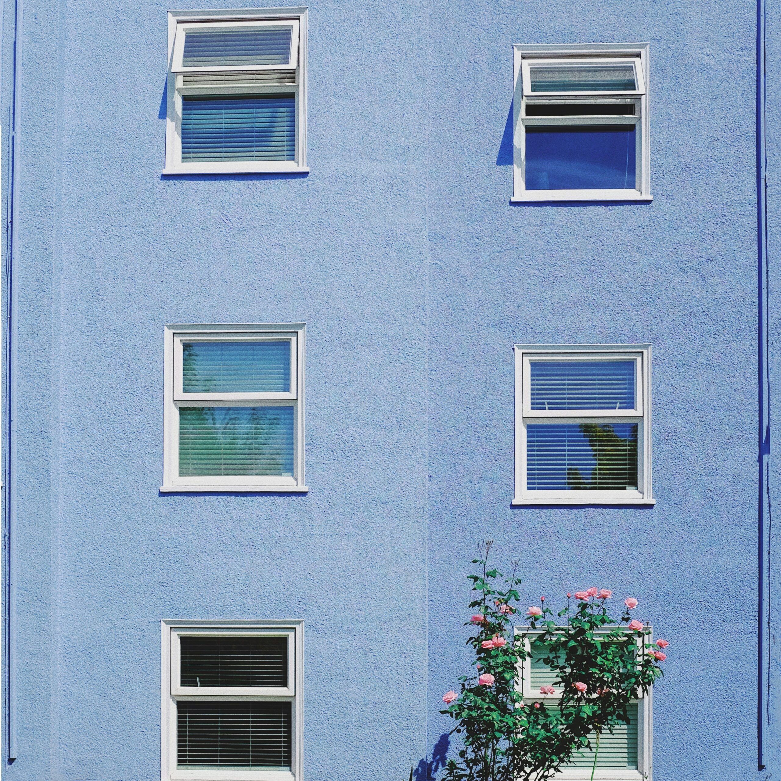 Façade propre