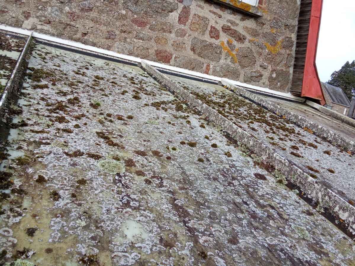 Toiture de maison avant nettoyage, présence de mousses