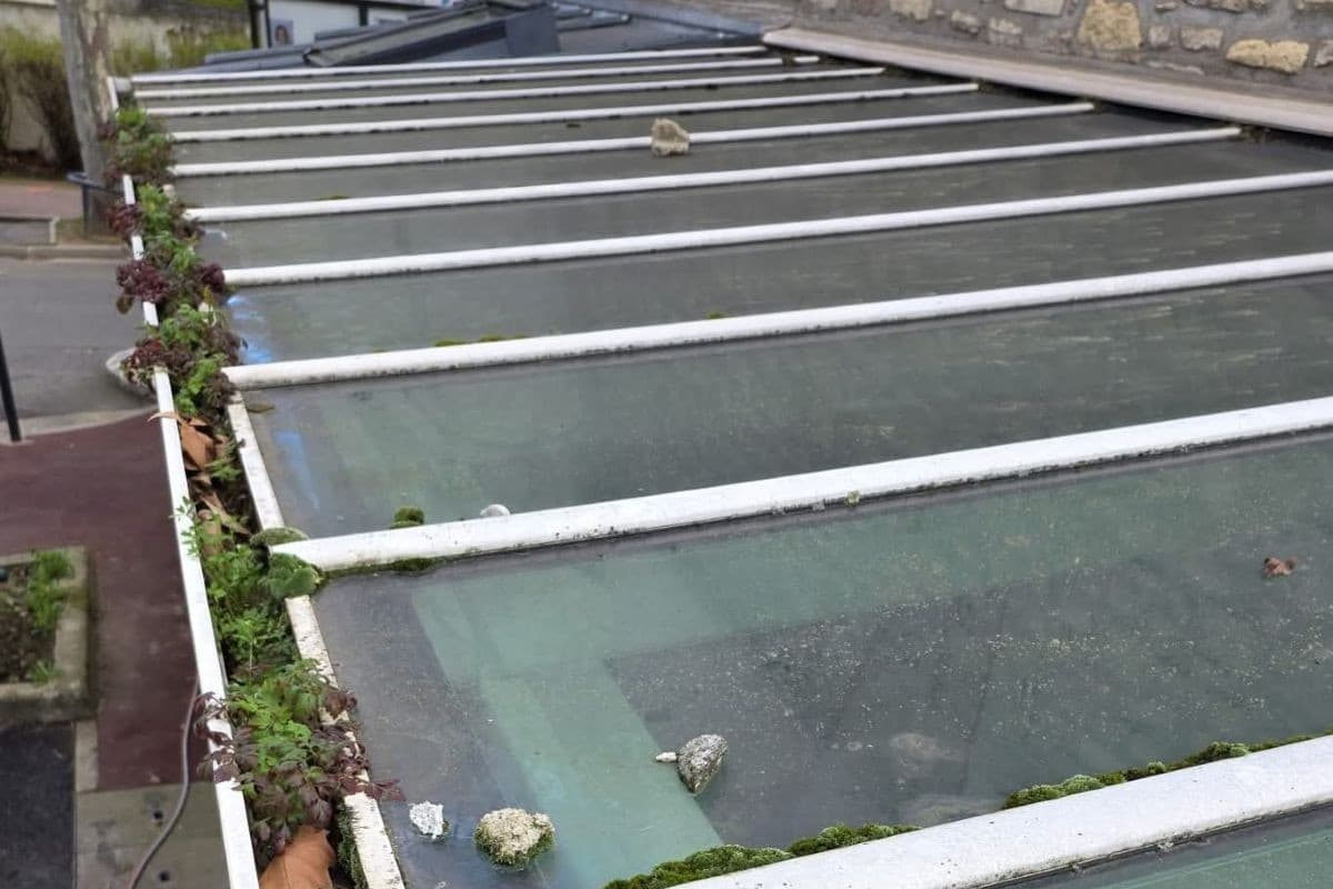 Verrière avant nettoyage à Malakoff, dépôts organiques et feuilles accumulées sur le vitrage