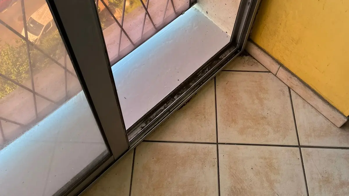 Balcon d'appartement après nettoyage professionnel des fientes de pigeons à Lyon par Econet Solution