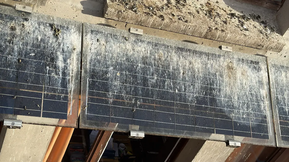 Nettoyage de fientes de pigeons à Toulon par ECONET SOLUTION