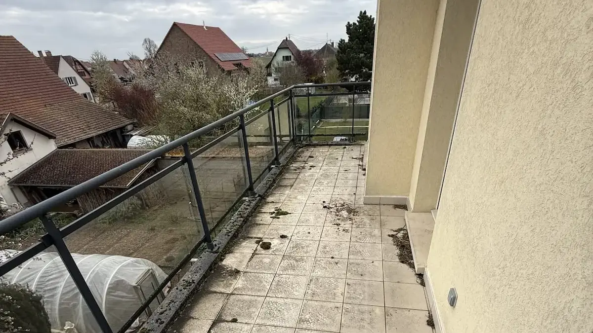 Terrasse avant nettoyage à Toulon avec mousses, algues et salissures.
